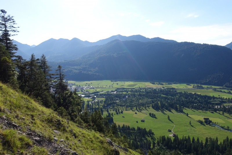Kuhflucht