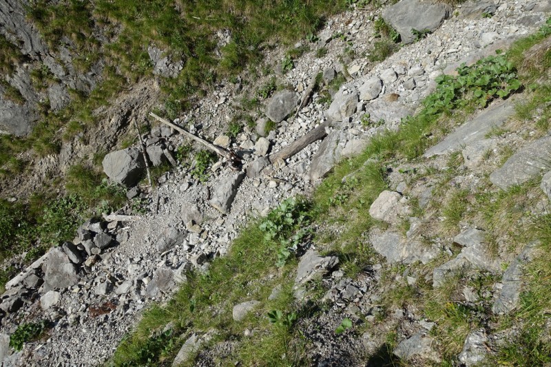 Kuhflucht