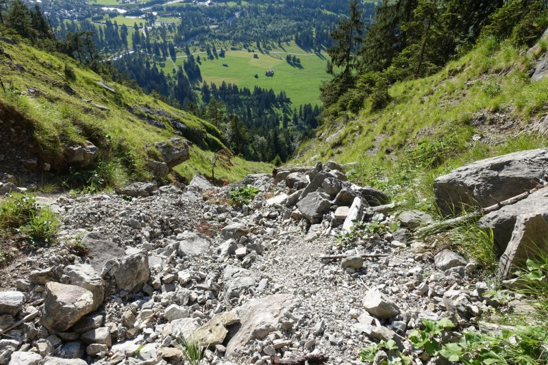 Kuhflucht
