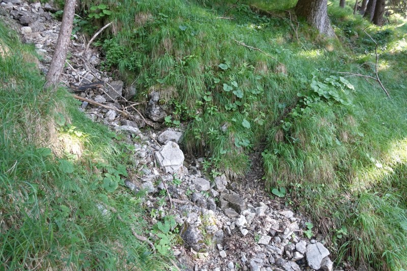 Kuhflucht