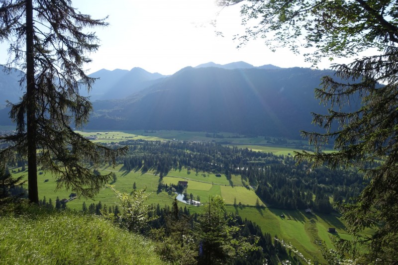 Kuhflucht