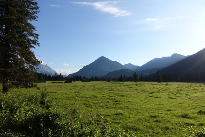 Kuhflucht