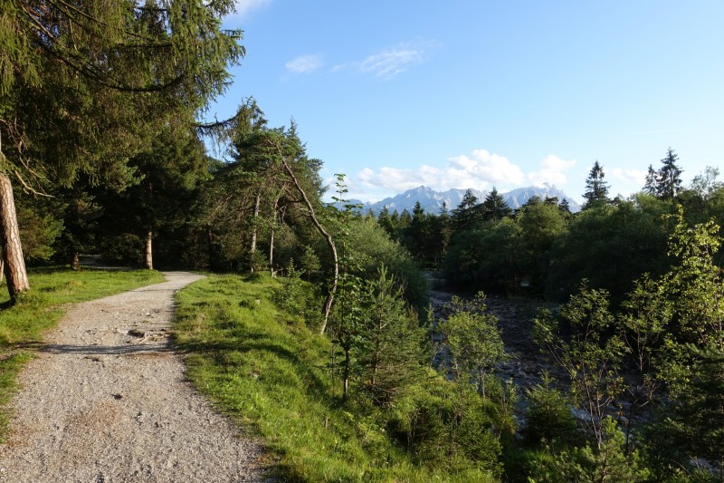 Kuhflucht