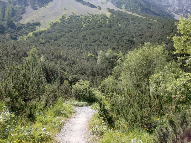 Lamsenspitze