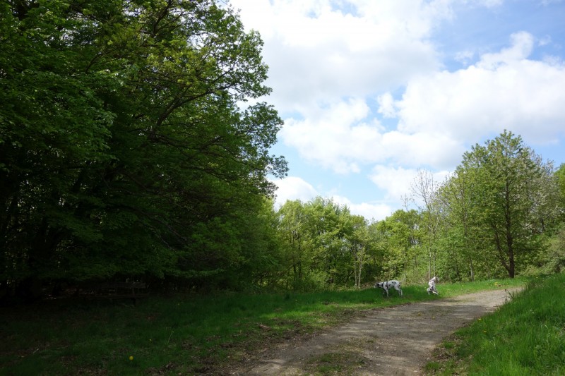Langscheider Aussichten