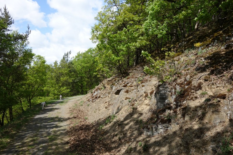 Langscheider Aussichten