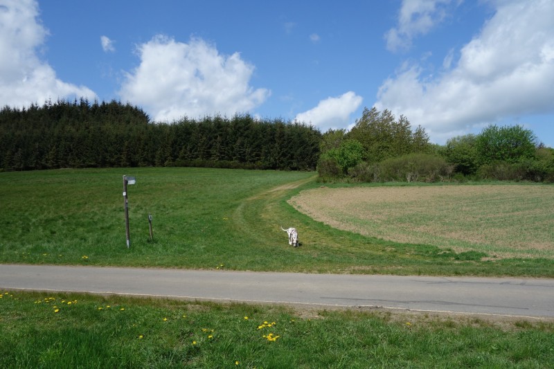 Langscheider Aussichten