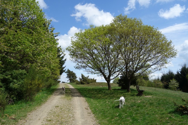 Langscheider Aussichten