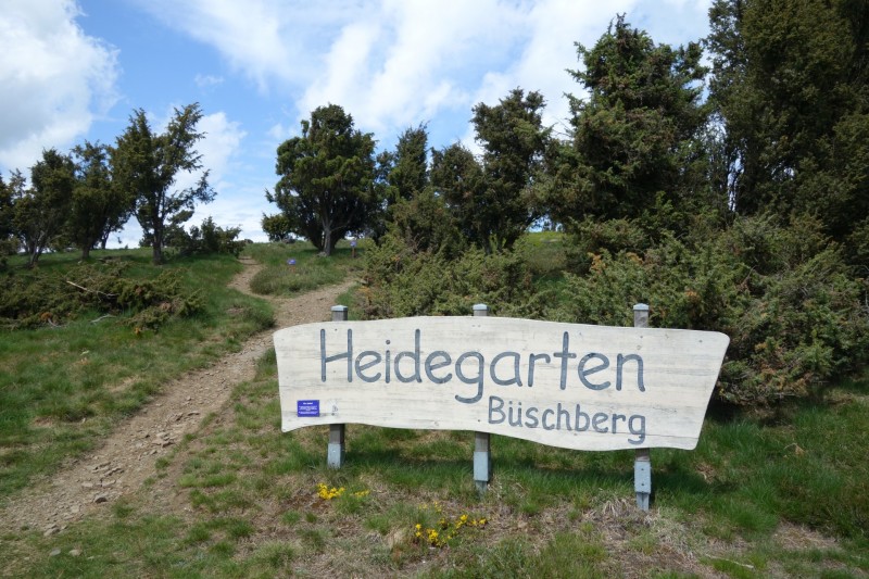 Langscheider Aussichten