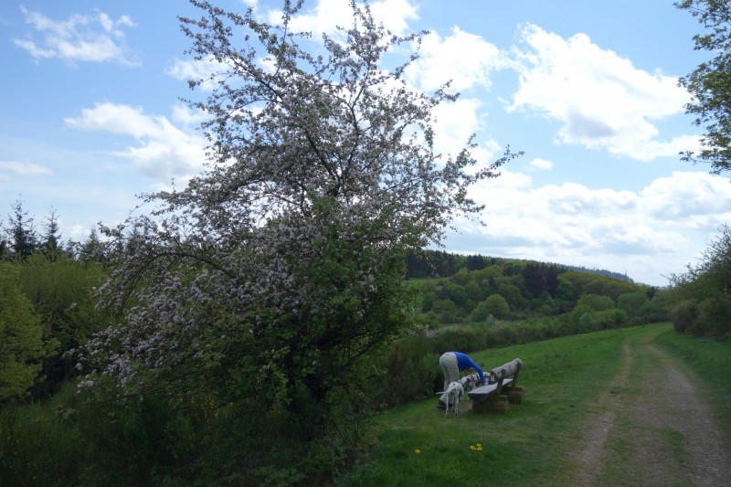 Langscheider Aussichten