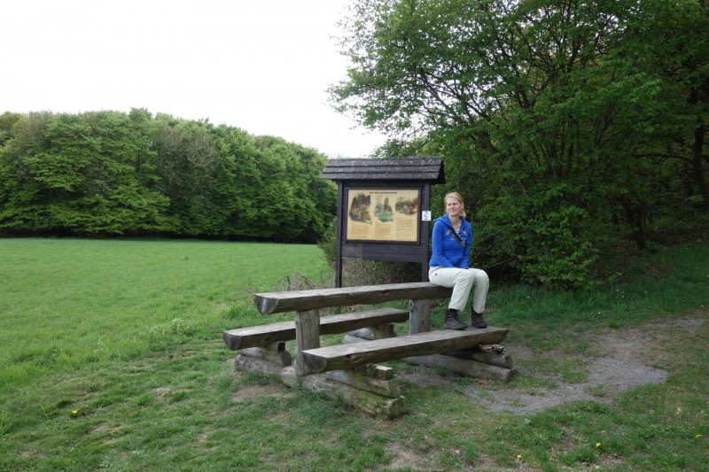 Langscheider Aussichten