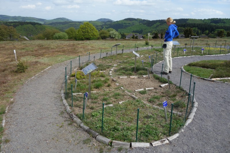 Langscheider Aussichten