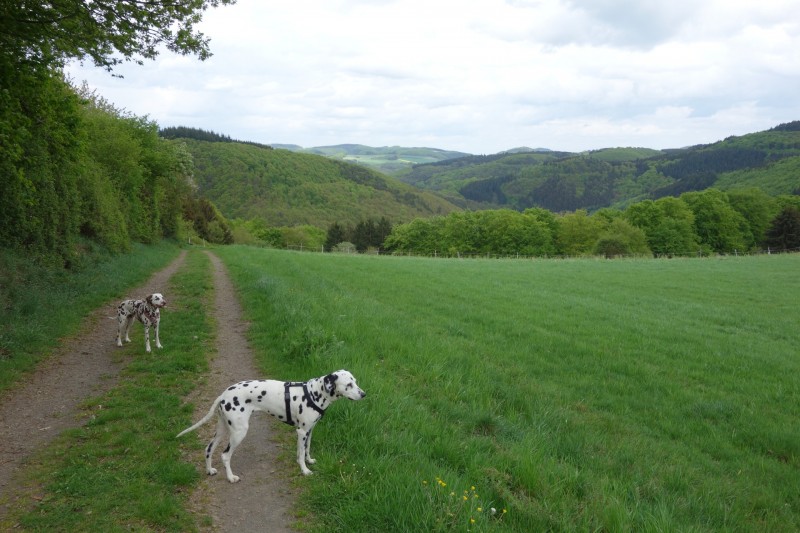 Langscheider Aussichten