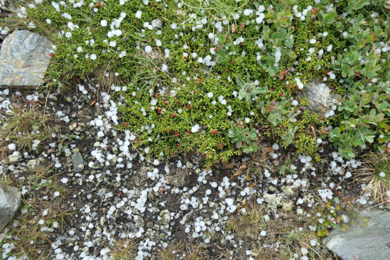 Latzfonser Kreuz - Lorenzispitz - Gaishorn - Schrotthorn - Leierspitz - Tellerjoch - Flaggerschartenhtte