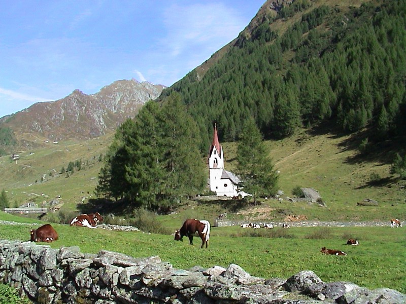Lenkj�chl