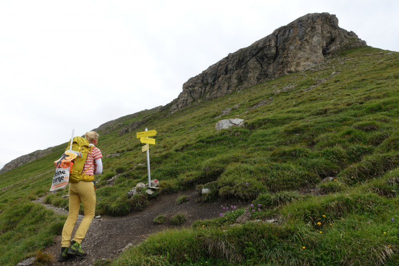 Leutkircher Hütte - Schindlekopf - Kaiserjochhaus - Flarschjoch - Ansbacher Hütte