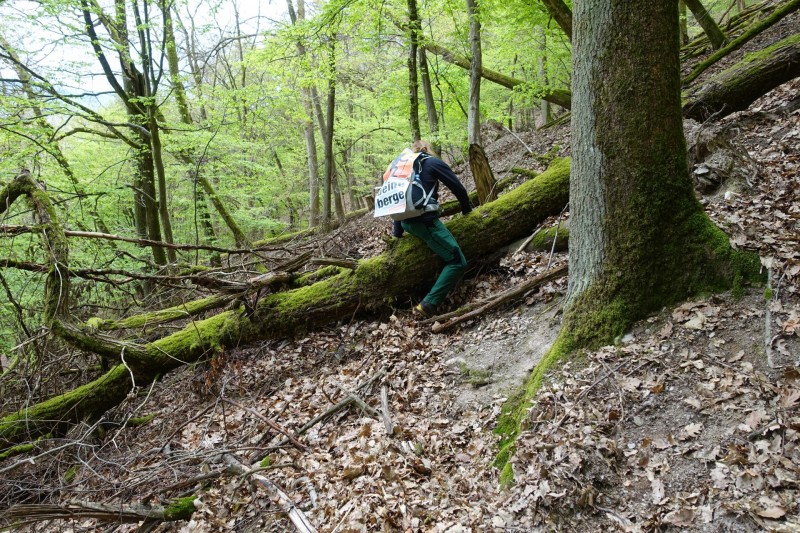 Lieser - Kl�sserath