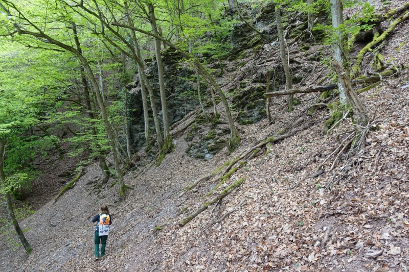 Lieser - Kl�sserath