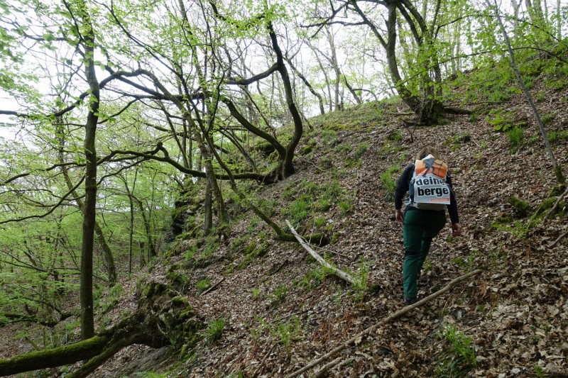Lieser - Kl�sserath
