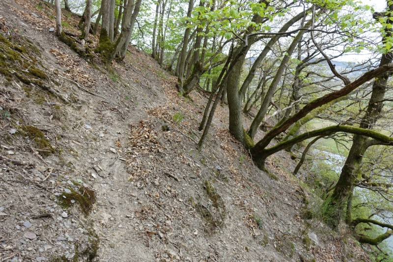 Lieser - Kl�sserath