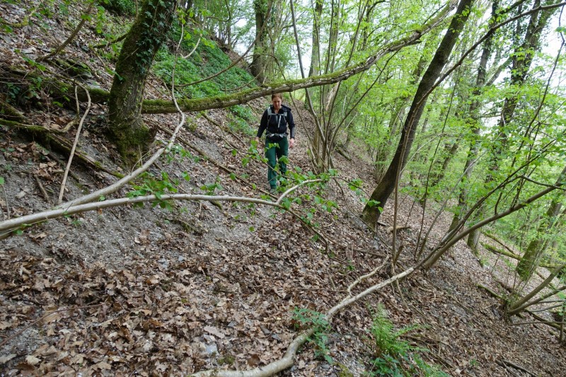 Lieser - Kl�sserath