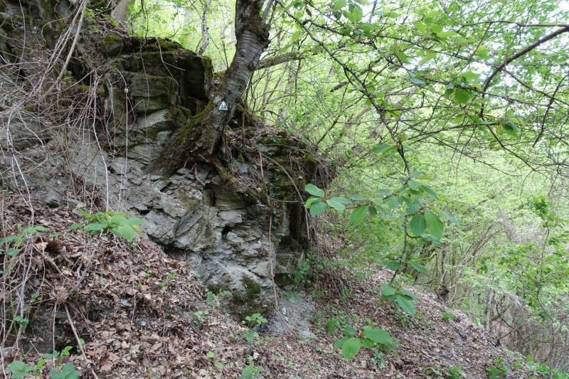 Lieser - Kl�sserath