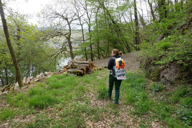 Lieser - Kl�sserath