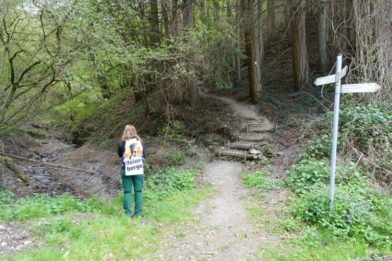 Lieser - Kl�sserath