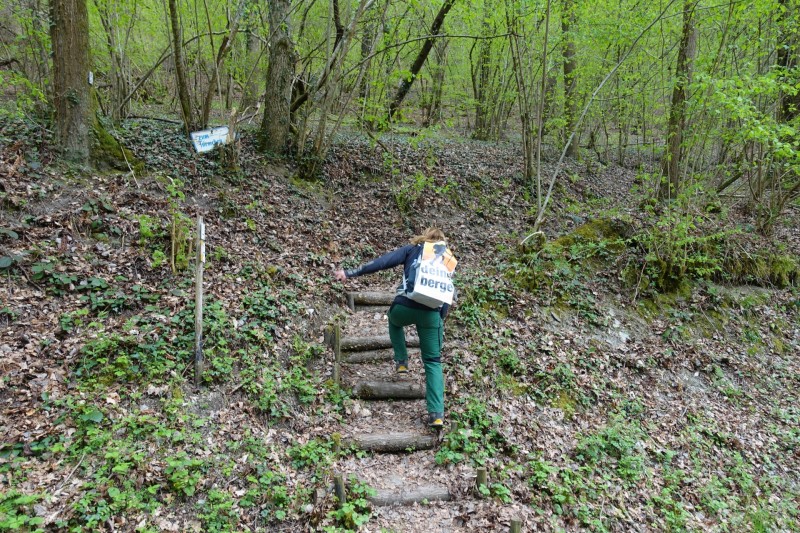 Lieser - Kl�sserath