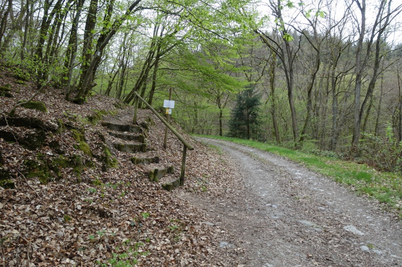 Lieser - Kl�sserath