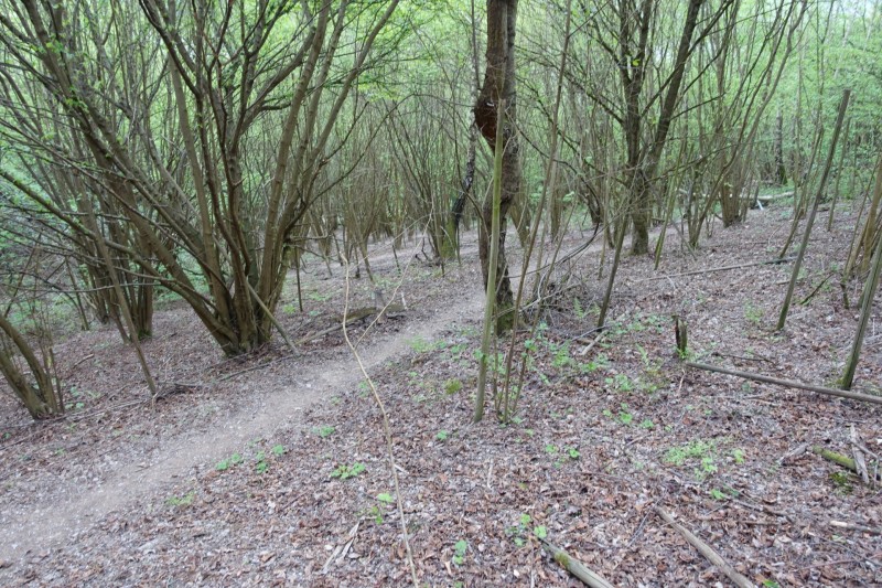 Lieser - Kl�sserath