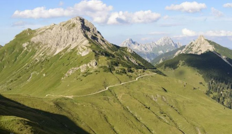 Litnisschrofen