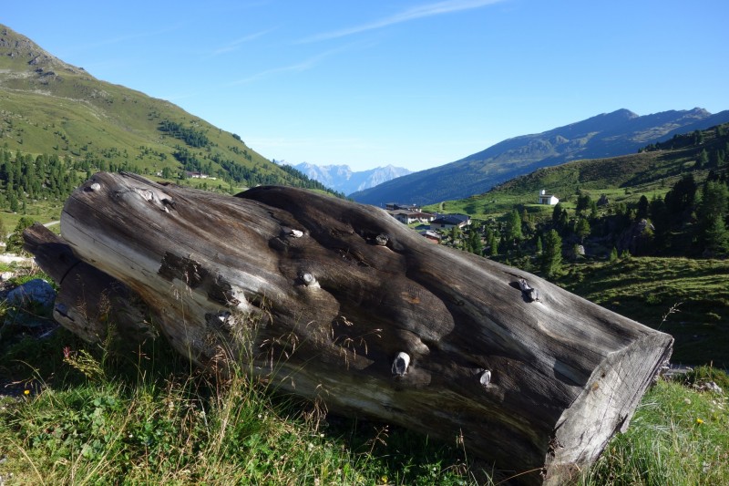 Lizumer Hütte - Hippoldspitze - Weidener Hütte