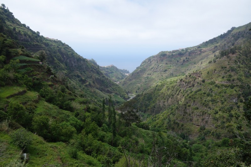 Lombada - Levada Nova Quelle - Lombada