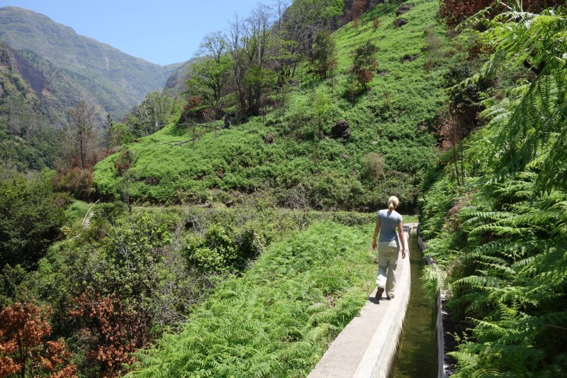 Lombada - Levada Nova Quelle - Lombada