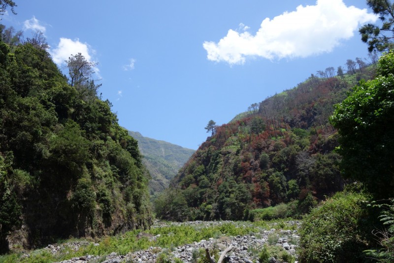 Lombada - Levada Nova Quelle - Lombada