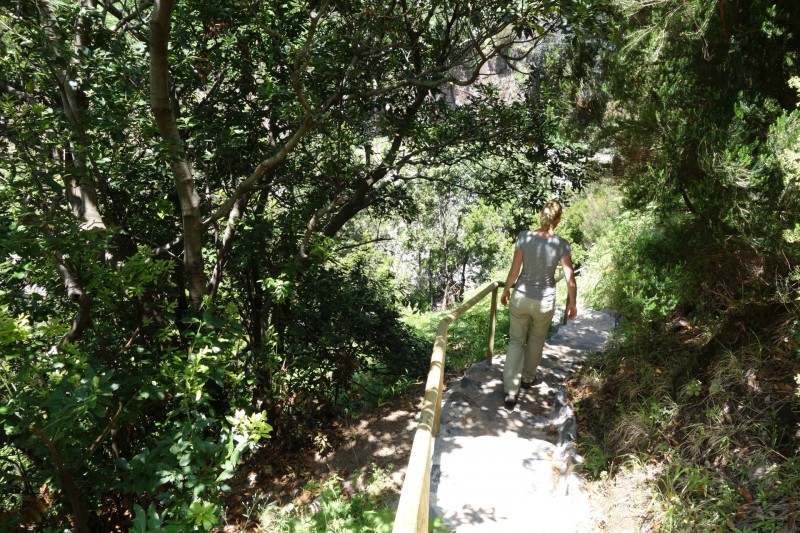 Lombada - Levada Nova Quelle - Lombada
