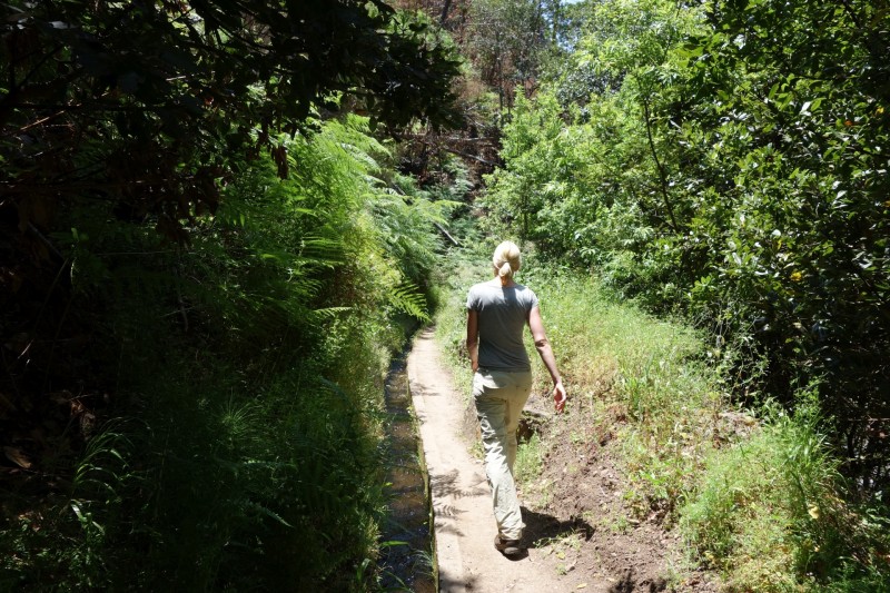Lombada - Levada Nova Quelle - Lombada