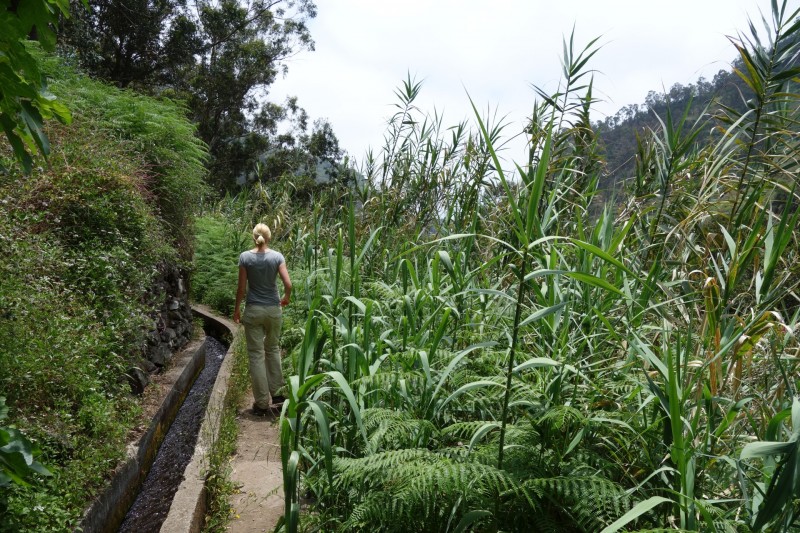 Lombada - Levada Nova Quelle - Lombada