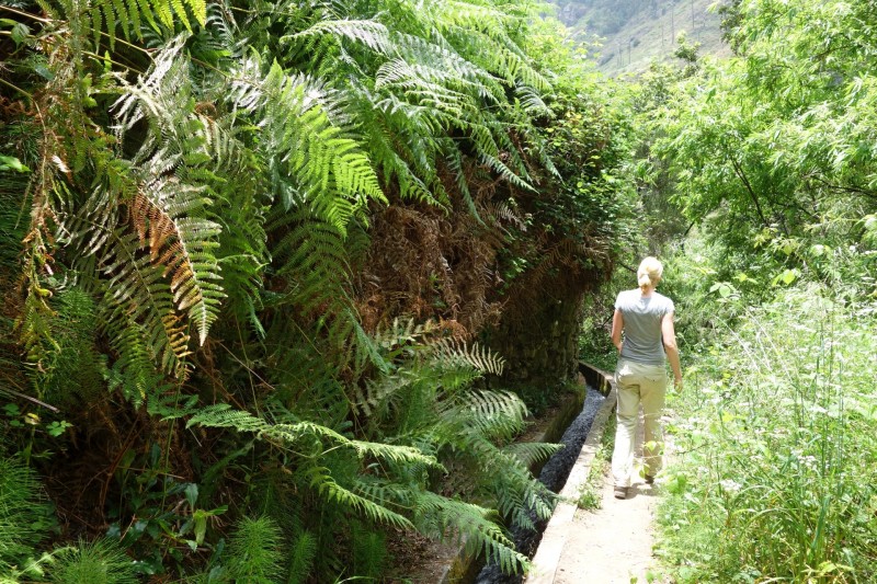 Lombada - Levada Nova Quelle - Lombada