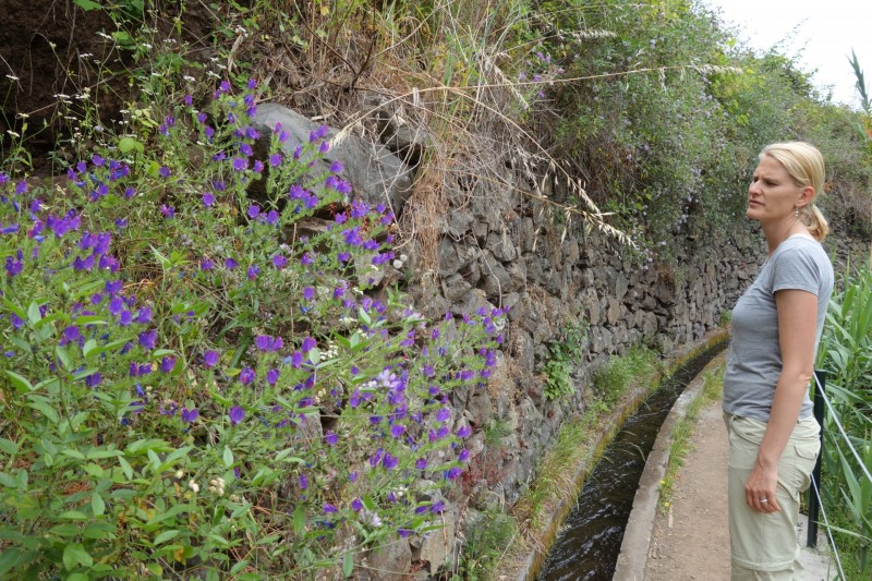 Lombada - Levada Nova Quelle - Lombada