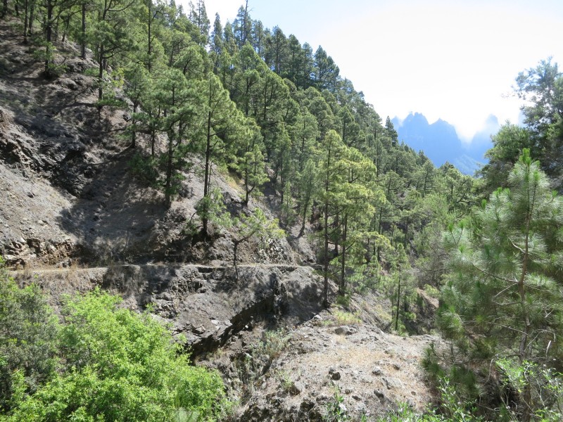 Los Brecitos durch die Caldera de Taburiente