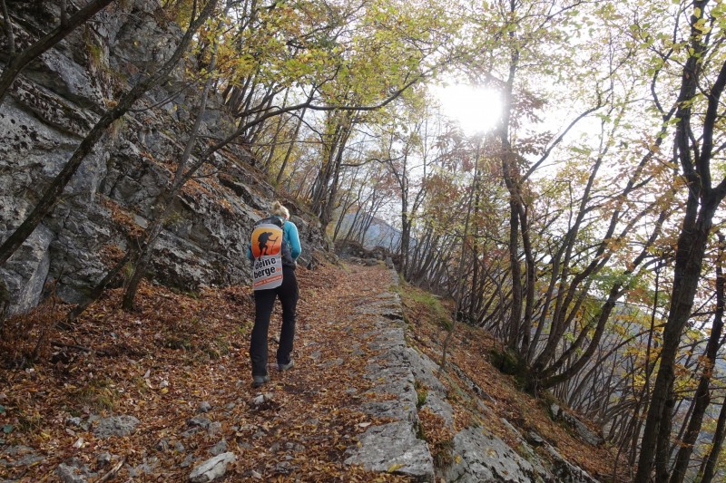 Cassone - Fiabio Alm - Malcesine