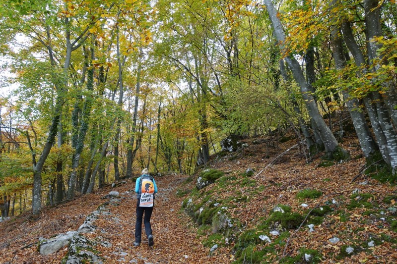 Cassone - Fiabio Alm - Malcesine
