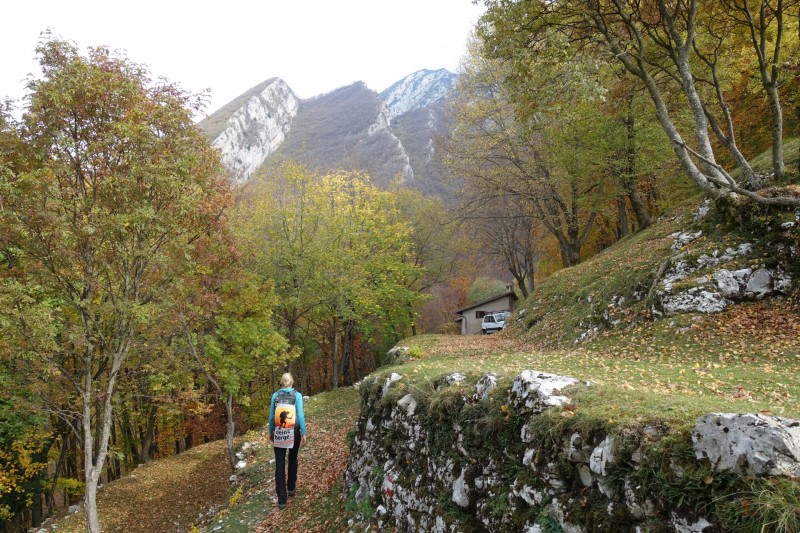 Cassone - Fiabio Alm - Malcesine