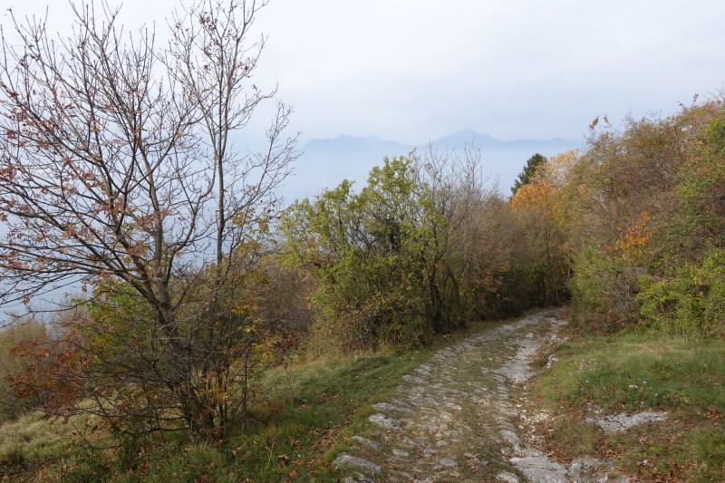 Cassone - Fiabio Alm - Malcesine