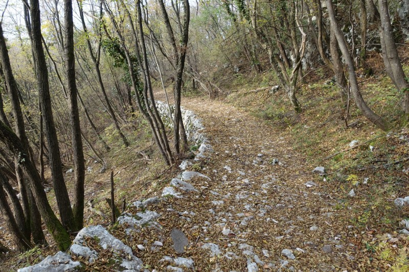 Cassone - Fiabio Alm - Malcesine