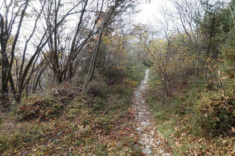 Cassone - Fiabio Alm - Malcesine