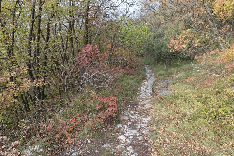 Cassone - Fiabio Alm - Malcesine