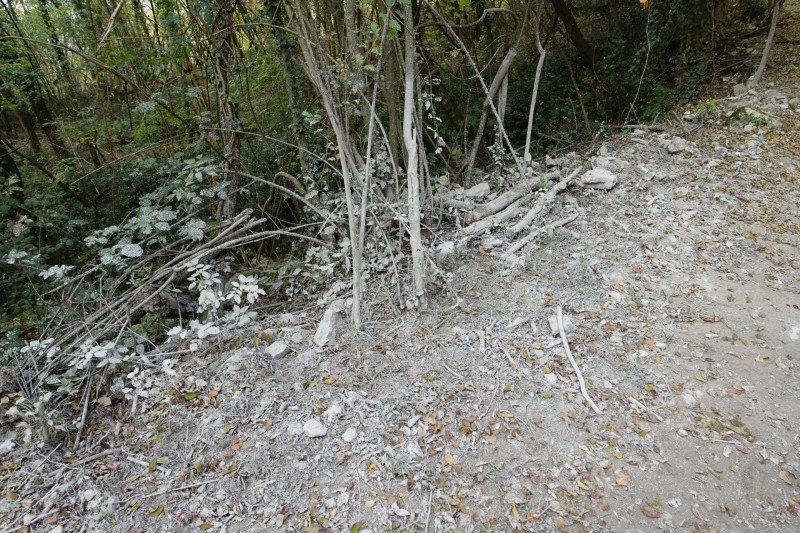 Cassone - Fiabio Alm - Malcesine